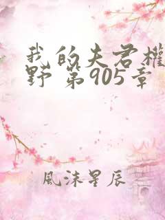 我的夫君权倾朝野 第905章