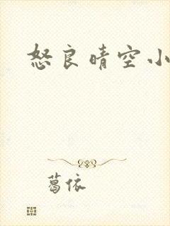 怒良晴空小说