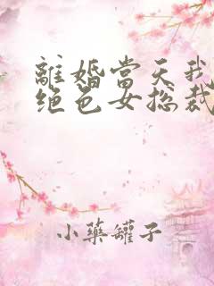 离婚当天我闪婚绝色女总裁