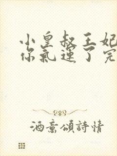 小皇叔王妃又薅你气运了完本