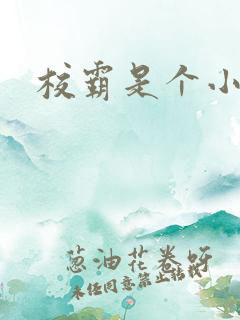 校霸是个小哭包