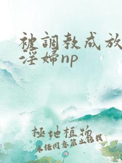 被调教成放荡小淫妇np