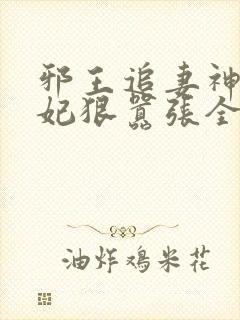 邪王追妻神医狂妃狠嚣张全文免费