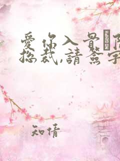 爱你入骨·隐婚总裁,请签字