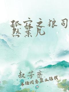 孤寂之狼司空嫣然叶凡