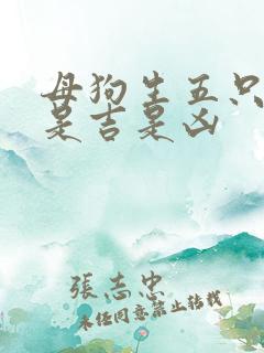 母狗生五只小狗是吉是凶
