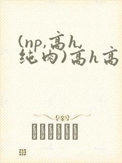(np,高h,纯肉)高h高辣小说