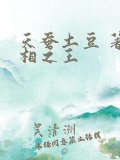 天蚕土豆 著万相之王