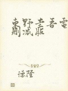 东野圭吾电影未删减版