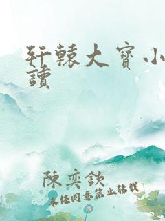 轩辕大宝小说阅读