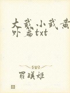 大武小武黄蓉番外篇txt
