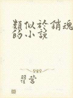 类似于销魂艳婢的小说