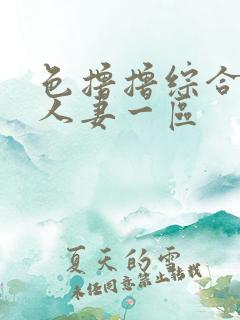 色撸撸综合熟女人妻一区