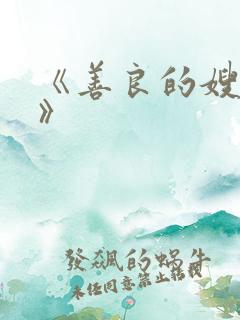《善良的嫂子2》