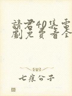 请君40集电视剧免费看全集