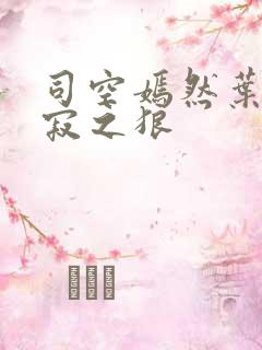 司空嫣然叶凡孤寂之狼