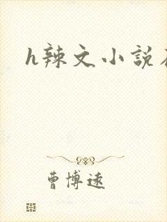 h辣文小说在线