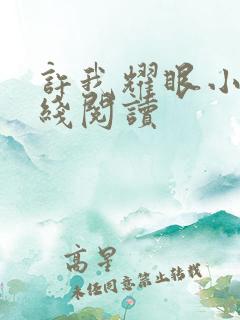 许我耀眼小说在线阅读
