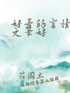 好看的言情小说文笔好
