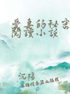 爱妻的秘密全文阅读小说