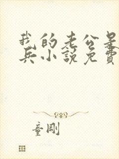 我的老公是特种兵小说免费阅读