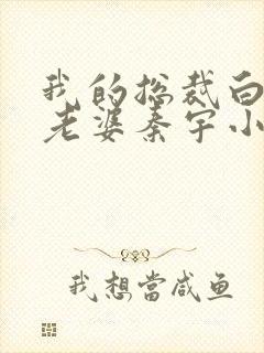 我的总裁白富美老婆秦宇小说版免费