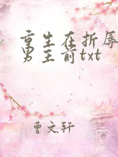 重生在折辱清冷男主前txt