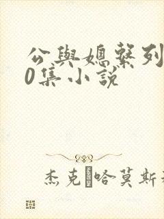 公与媳系列100集小说
