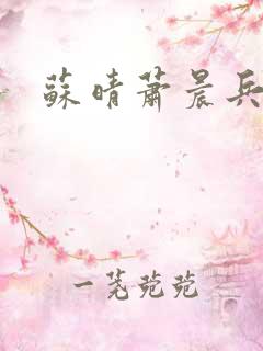苏晴萧晨兵王