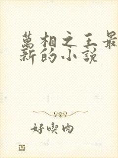 万相之王最快更新的小说