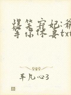 爆笑宠妃:爷我等你休妻txt下载