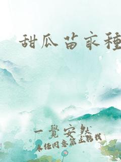 甜瓜苗亩种多少