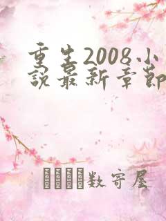 重生2008小说最新章节免费阅读全文