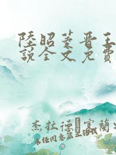 陆昭菱晋王的小说全文免费阅读3yt
