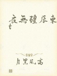 夜无疆辰东txt