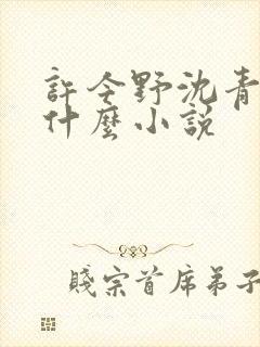 许今野沈青棠是什么小说