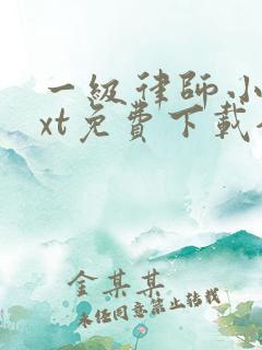 一级律师小说txt免费下载全文