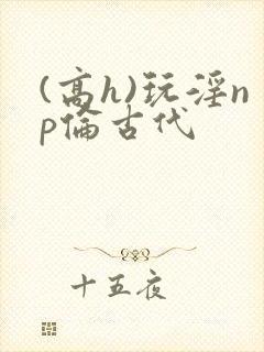 (高h)玩淫np伦古代