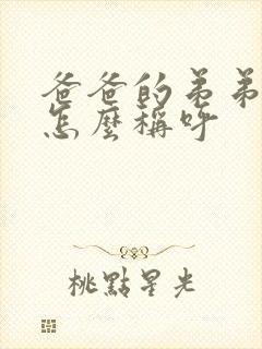 爸爸的弟弟老婆怎么称呼