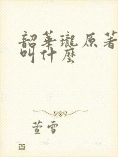 韶华珑原著小说叫什么