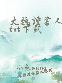 大魏读书人全本txt下载