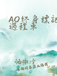 AO终身标记全过程车