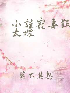 小说宠妻狂魔别太坏