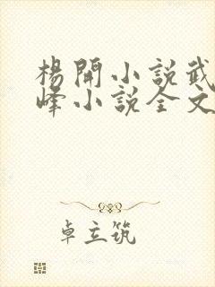 杨开小说武炼巅峰小说全文免费阅读