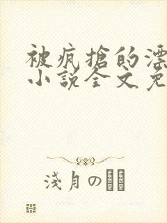 被疯抢的漂亮攻小说全文免费阅读无弹窗