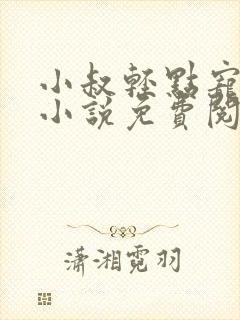 小叔轻点宠原著小说免费阅读