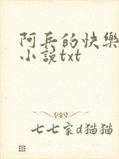阿兵的快乐生活小说txt