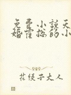 免费小说天价宠婚霍总的小娇妻