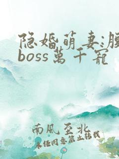 隐婚萌妻:腹黑boss万千宠
