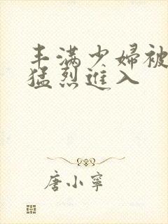 丰满少妇被强行猛烈进入